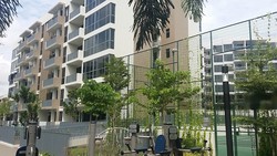 Palm Isles (D17), Condominium #204463811